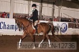 09yn-12736 proof
