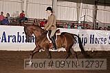 09yn-12737 proof