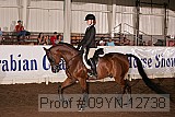 09yn-12738 proof