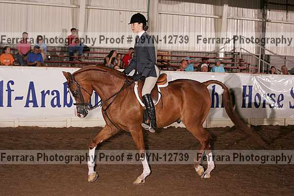 Proof 09yn-12739