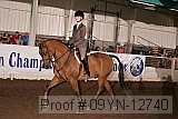 09yn-12740 proof