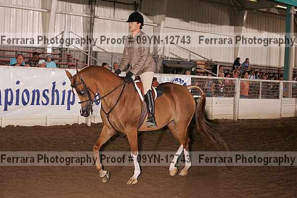 Proof 09yn-12743