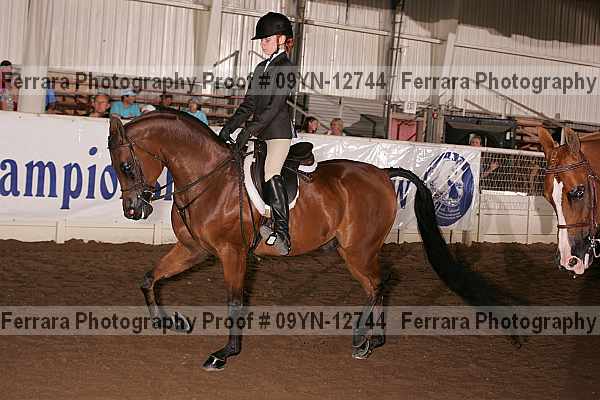 Proof 09yn-12744