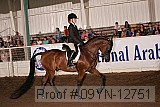 09yn-12751 proof