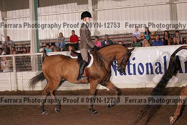 Proof 09yn-12753