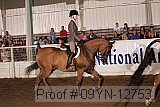 09yn-12753 proof