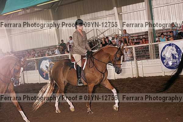 Proof 09yn-12755