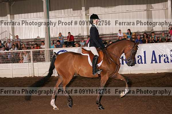 Proof 09yn-12756