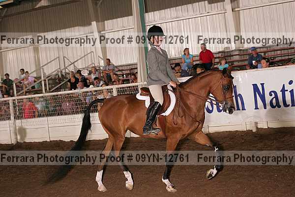 Proof 09yn-12761