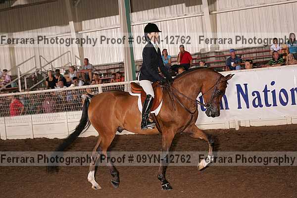 Proof 09yn-12762