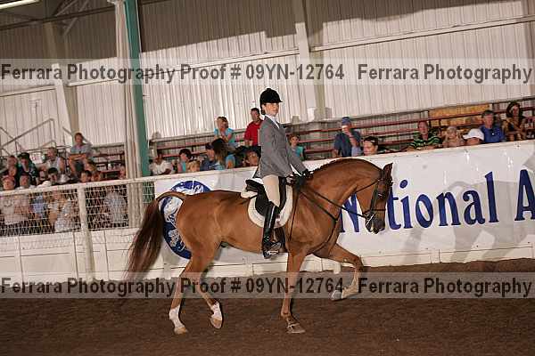 Proof 09yn-12764