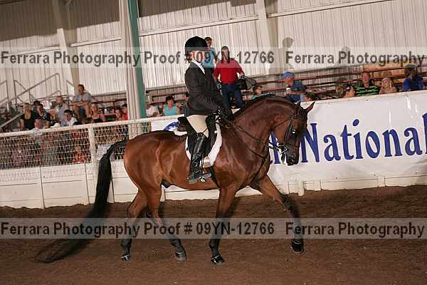 Proof 09yn-12766