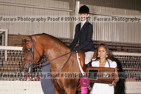 Proof 09yn-12767