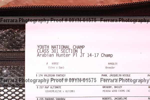 Proof 09yn-01575