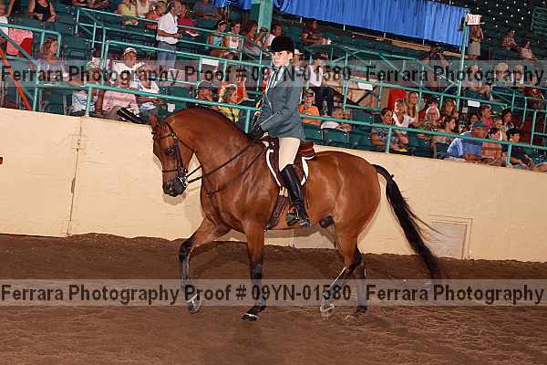 Proof 09yn-01580