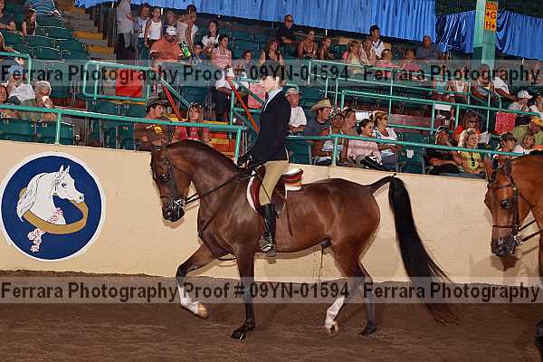 Proof 09yn-01594