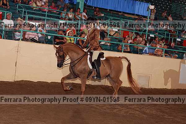 Proof 09yn-01598
