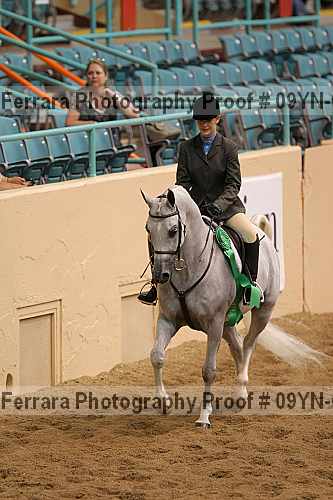 Proof 09yn-01610