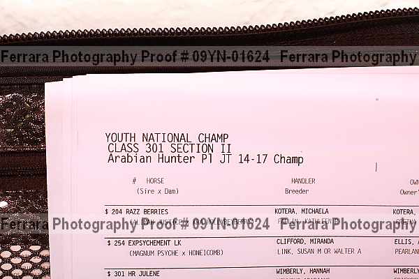 Proof 09yn-01624