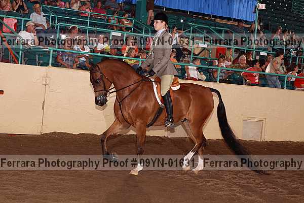 Proof 09yn-01631