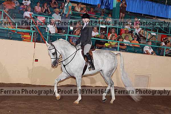 Proof 09yn-01640