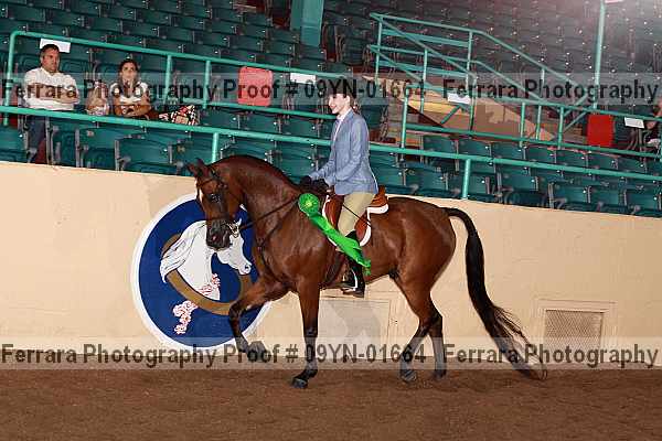 Proof 09yn-01664
