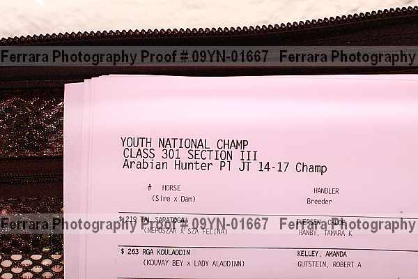 Proof 09yn-01667