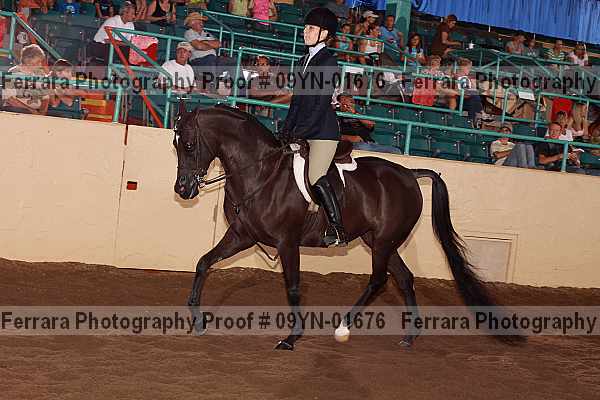 Proof 09yn-01676