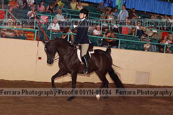 Proof 09yn-01694