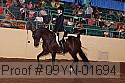 09yn-01694 proof