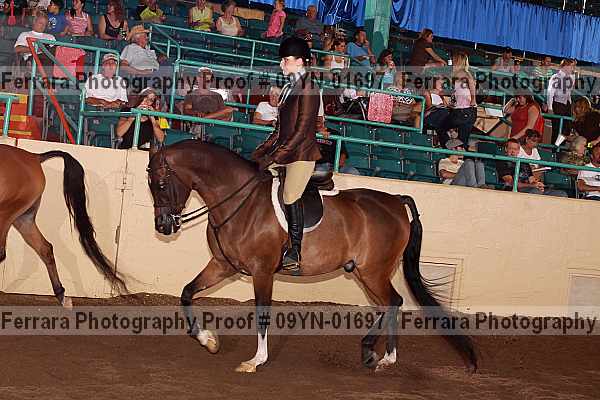 Proof 09yn-01697
