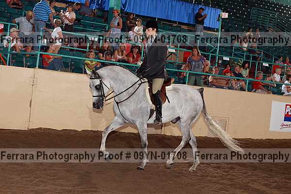 Proof 09yn-01708