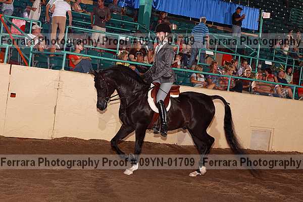 Proof 09yn-01709