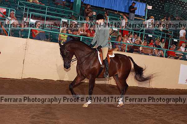 Proof 09yn-01712