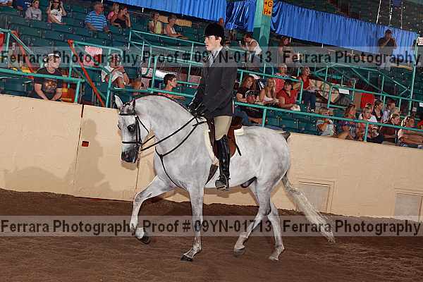 Proof 09yn-01713