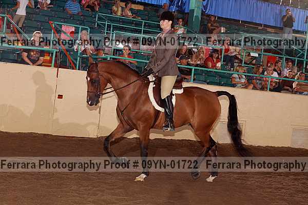 Proof 09yn-01722