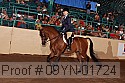 09yn-01724 proof