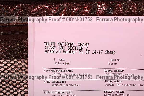 Proof 09yn-01753