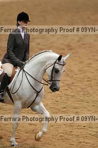 Proof 09yn-01754
