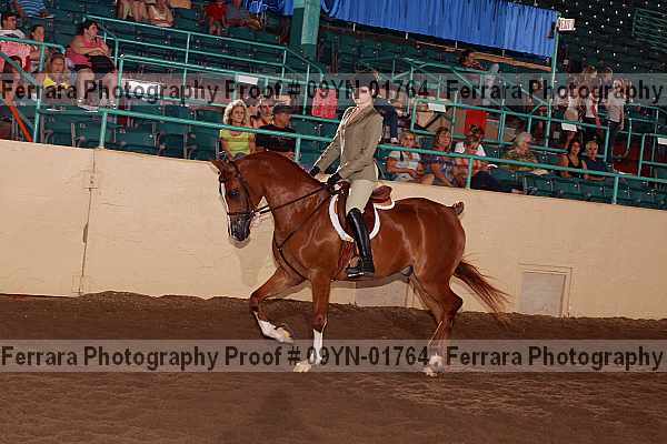 Proof 09yn-01764