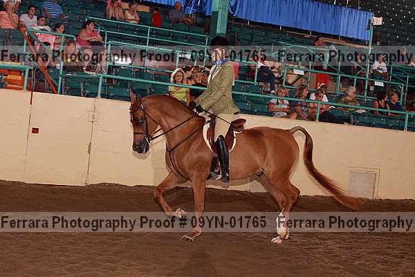 Proof 09yn-01765