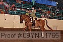 09yn-01765 proof