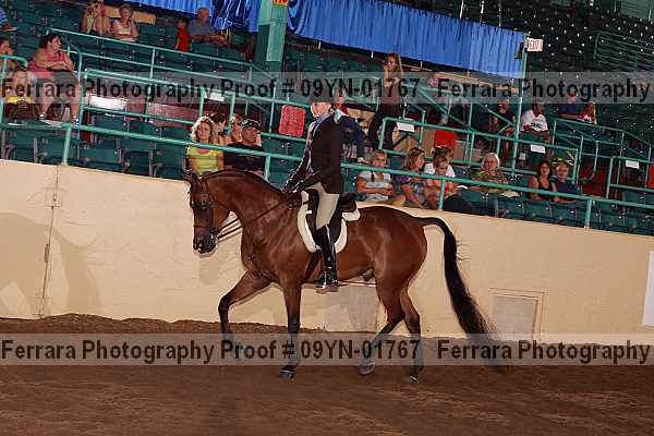 Proof 09yn-01767