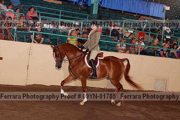 Proof 09yn-01785