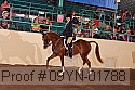 09yn-01788 proof