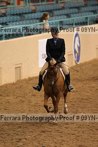 Proof 09yn-06393
