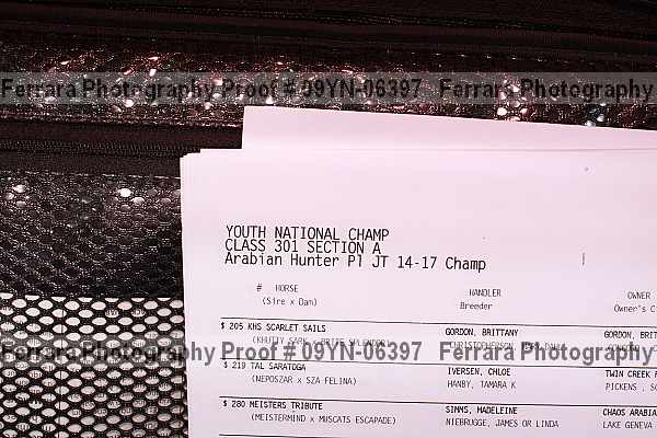 Proof 09yn-06397