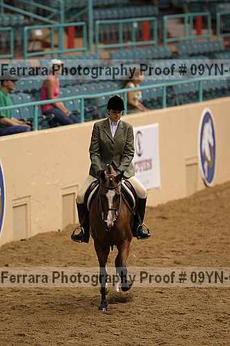 Proof 09yn-06399