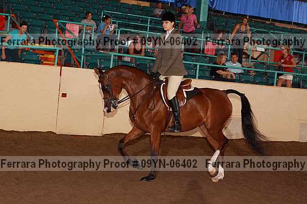 Proof 09yn-06402