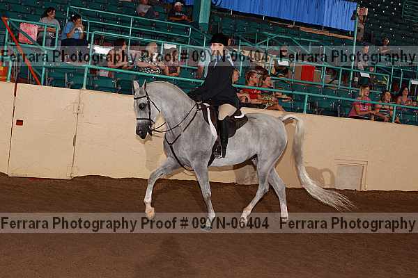 Proof 09yn-06404
